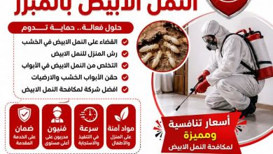 شركة مكافحة النمل الابيض بالمبرز
