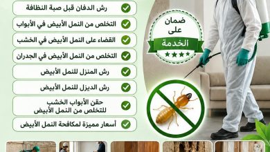 شركة مكافحة النمل الابيض بالهفوف