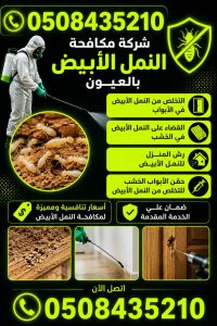 شركة مكافحة النمل الابيض بالعيون