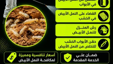 شركة مكافحة النمل الابيض بالعيون