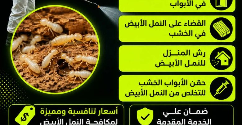 شركة مكافحة النمل الابيض بالعيون